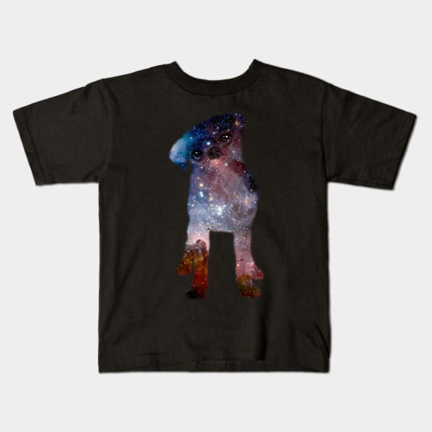 Pug Nebula Kids T-Shirt by FlyNebula